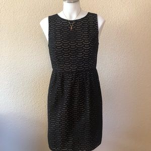 Nude & Black Ann Taylor Dress